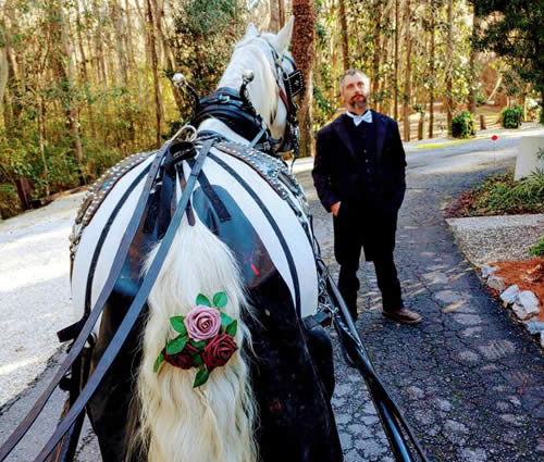 Plantation Carriage Company Package in Savannah Georgia